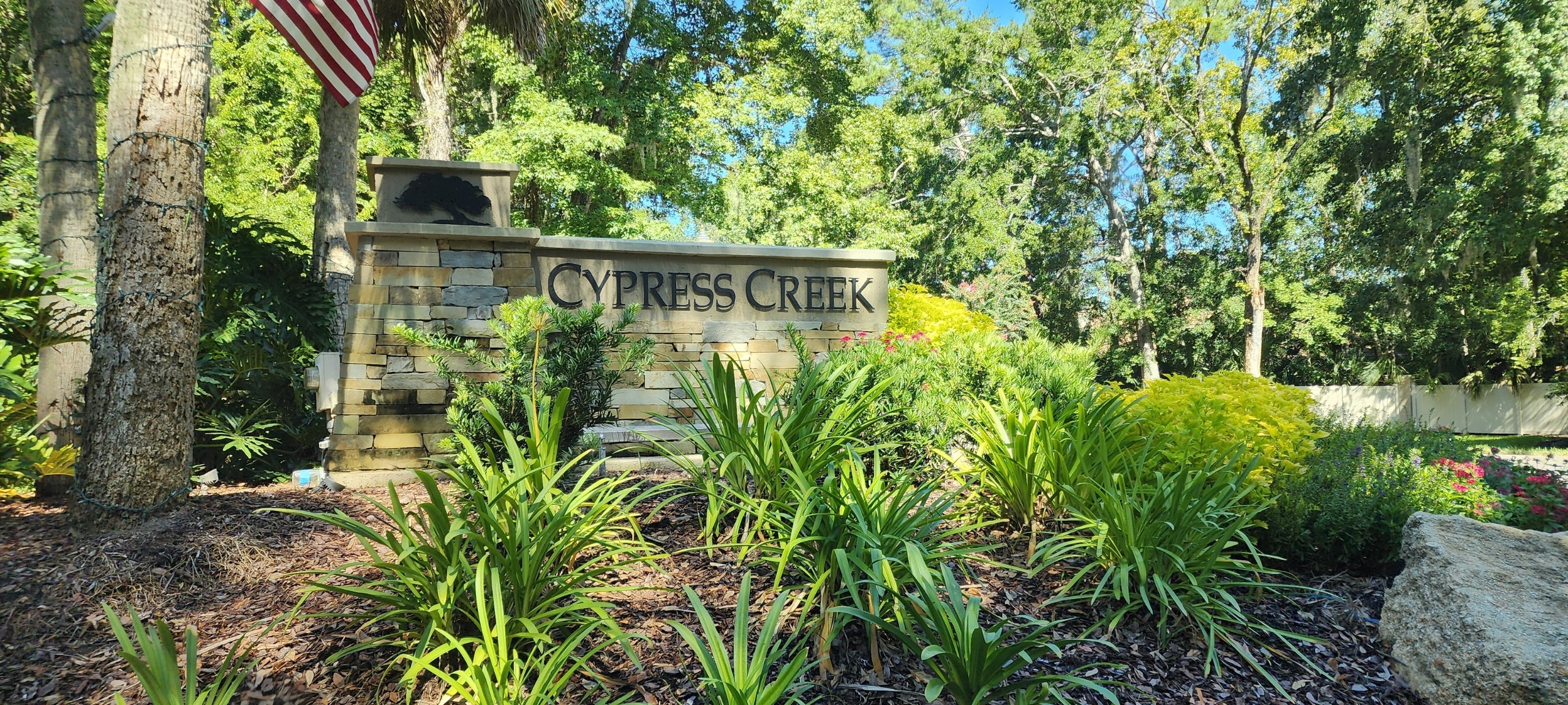 Cypress Creek